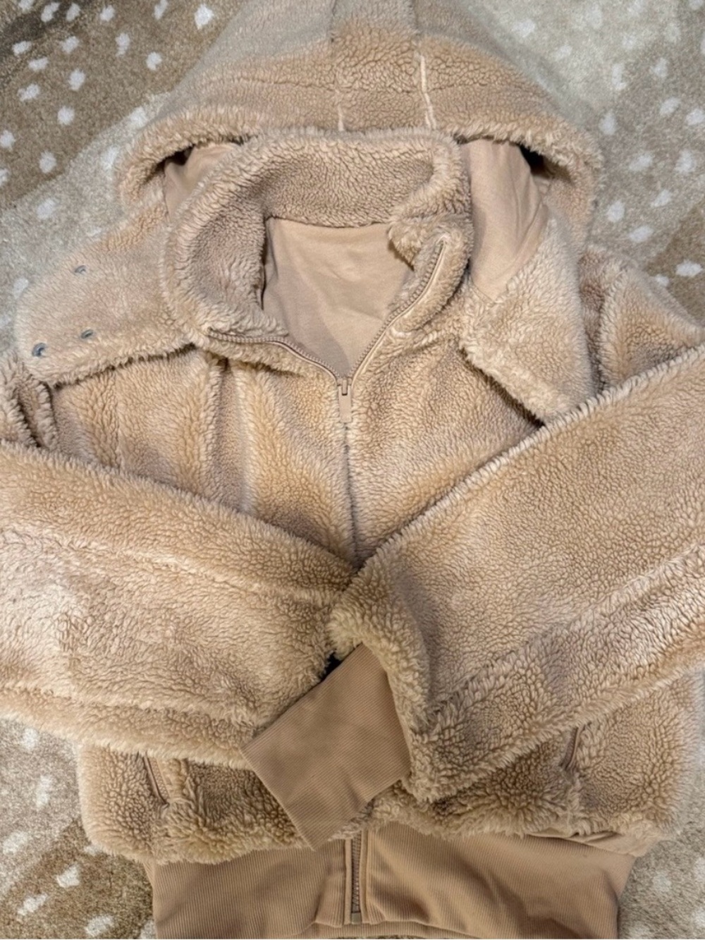ALO Yoga Plush Cream Hoodie